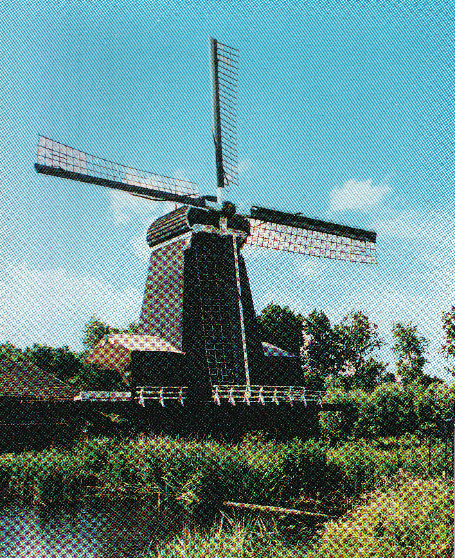 De Eenhoorn