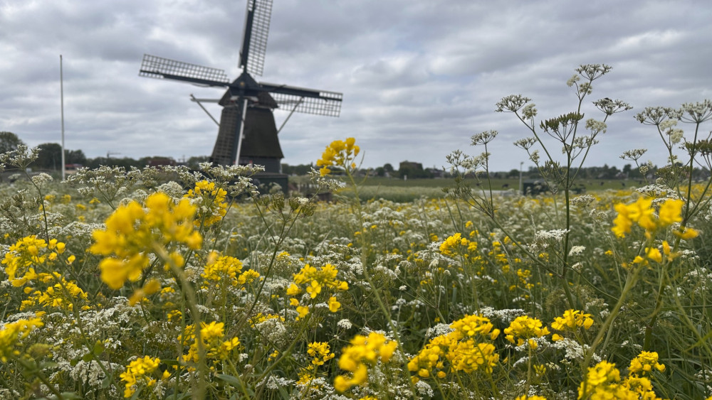 De Hommel