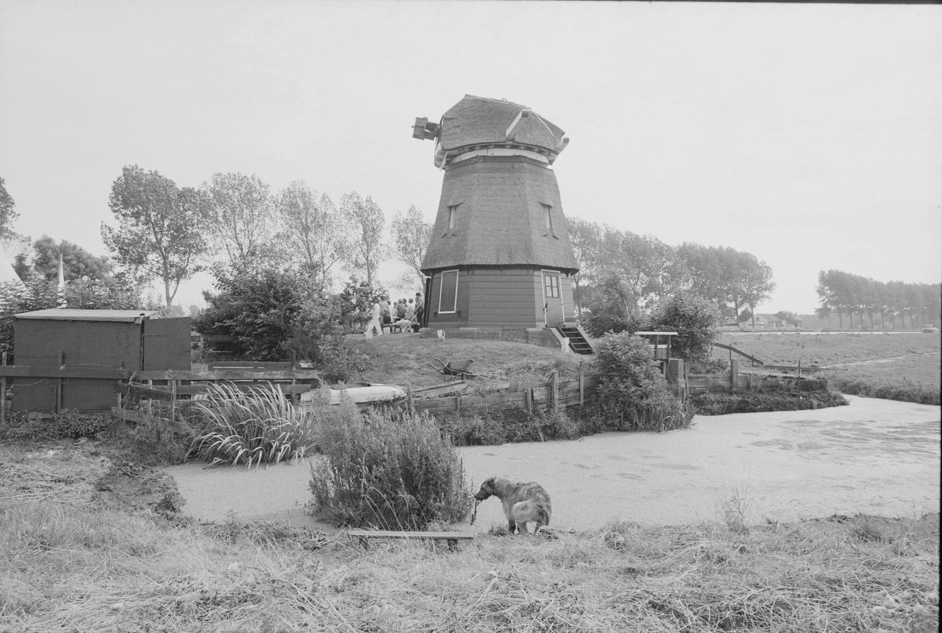 Vervanging van de roeden